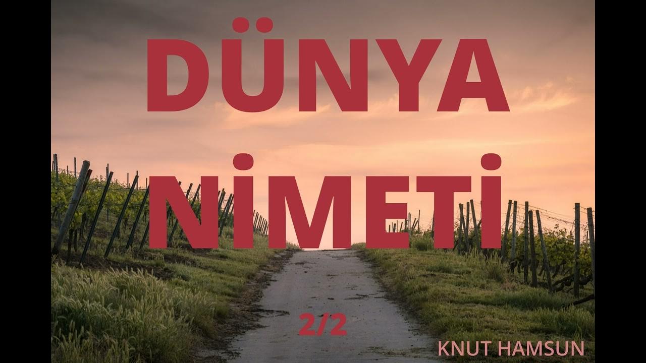 KNUT HAMSUN DÜNYA NİMETİ KİTABI ÖZETİ