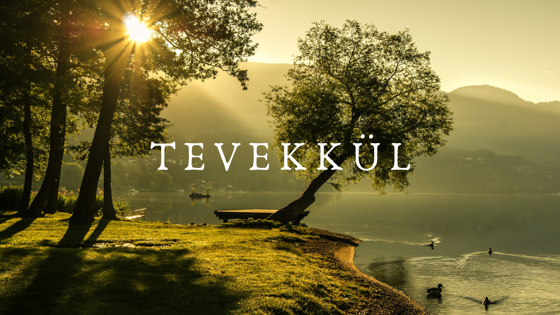 TEVEKKÜL